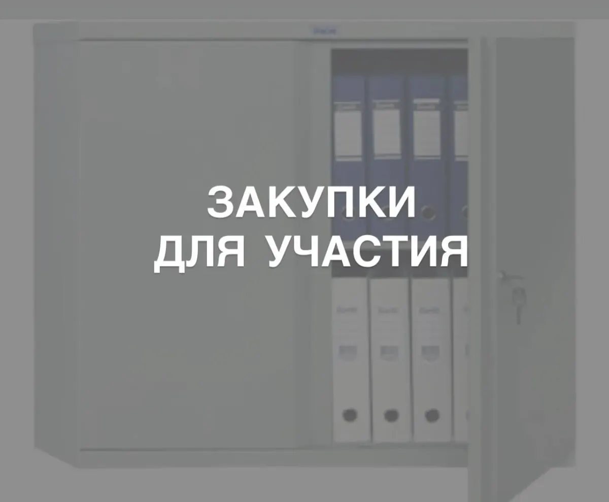 Серый шкаф с папками и русской надписью «Закупки для участия», ассоциирующийся с участием в закупках по 223‑ФЗ Серый шкаф с папками и русской надписью «Закупки для участия», ассоциирующийся с участием в закупках по 223‑ФЗ