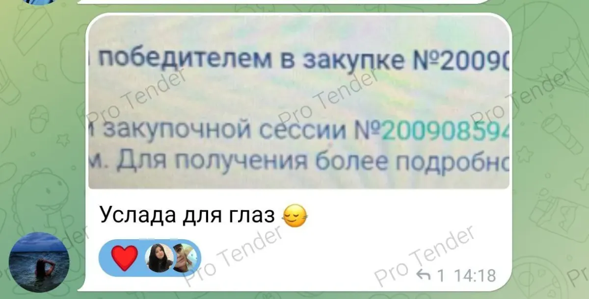 фото документа с нечитаемым текстом, использованное как иллюстрация к теме тендеров на IT‑услуги
